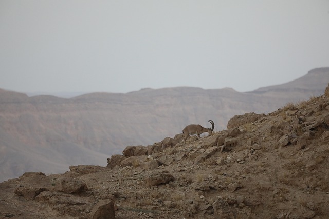 Teamarbeit bei der Planung eines KI-Sicherheitskonzepts für ein Wohnhaus