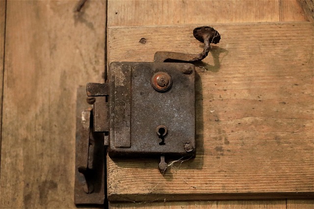 Smartes elektronisches Türschloss mit Fingerabdruck-Scanner